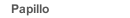 Papillo